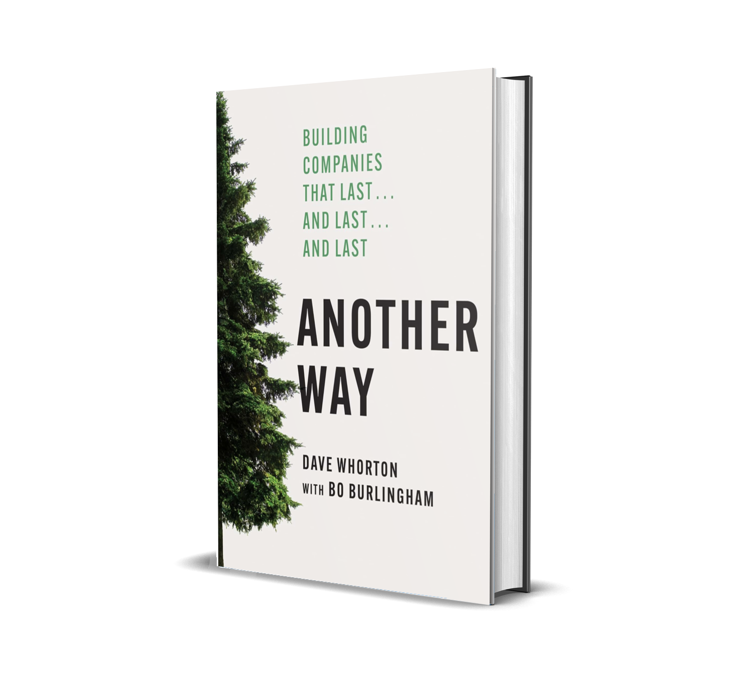 Hardcover Another Way: Building Companies That Last…and Last…and Last